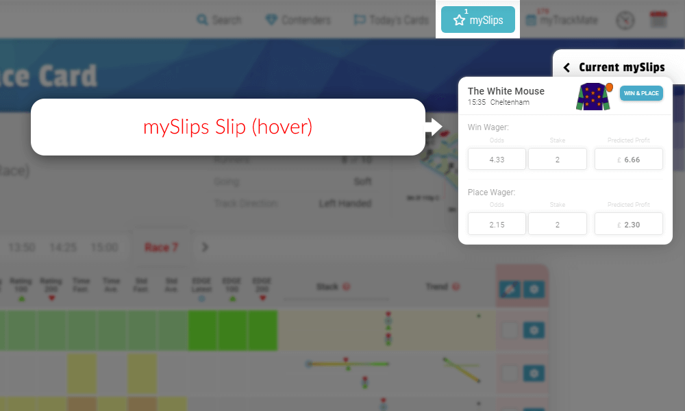 Sample Race Card mySlips Hover - TrackMate