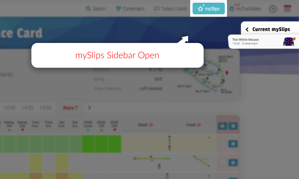 Sample Race Card mySlips Open - TrackMate